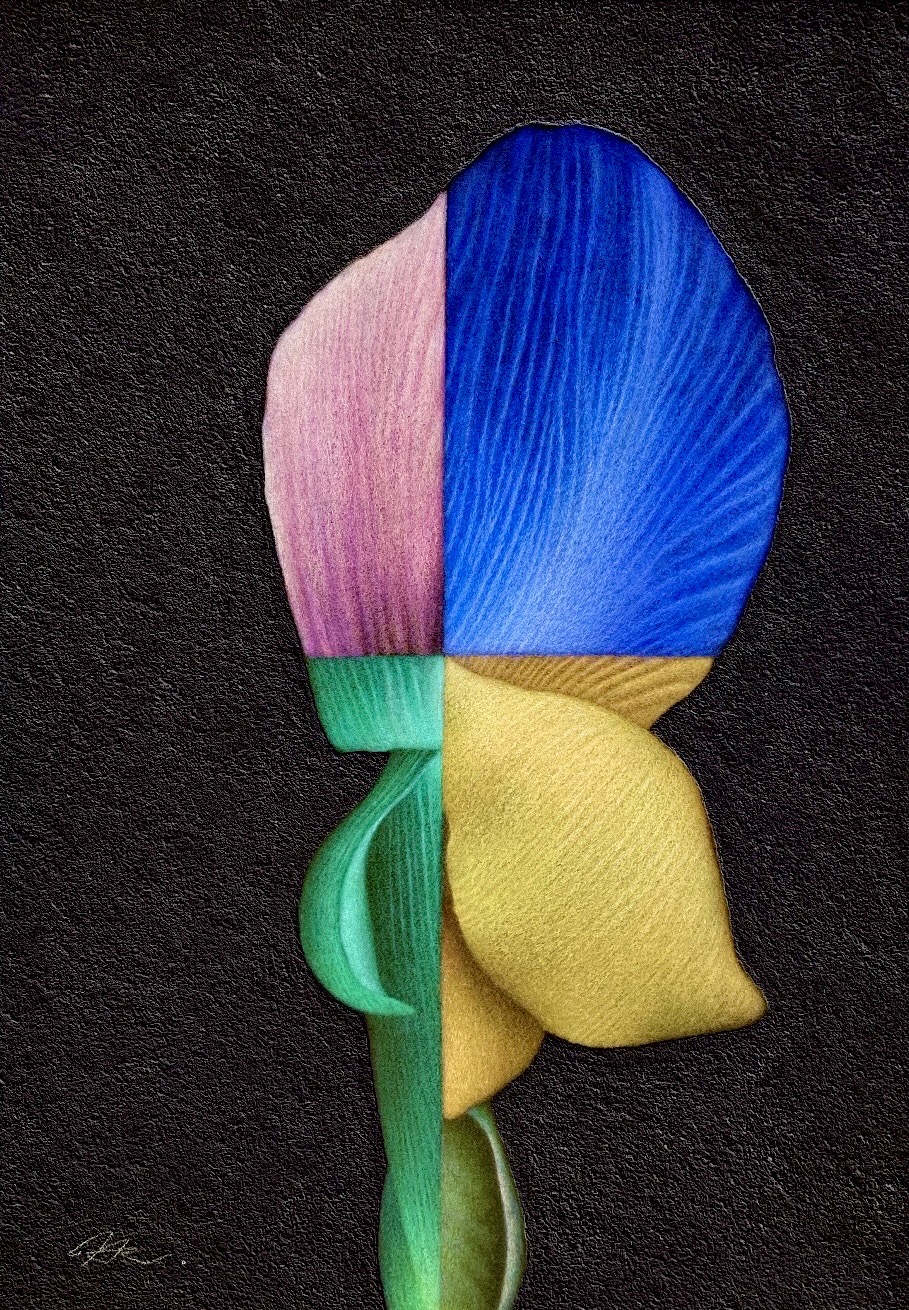 絵」を通して「社会」を問う画家